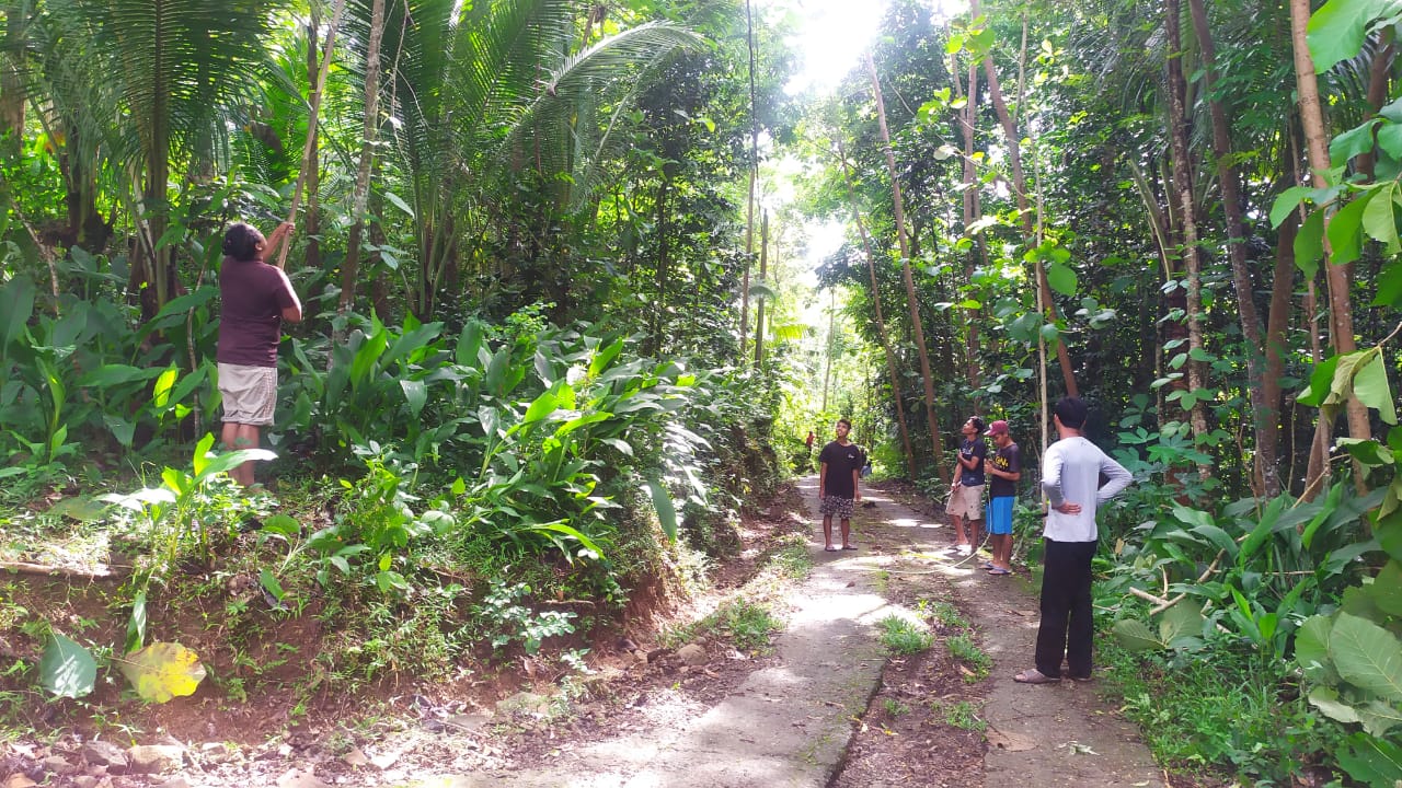 Kegiatan Rabas-Rabas Pohon Oleh Masyarakat Pandu